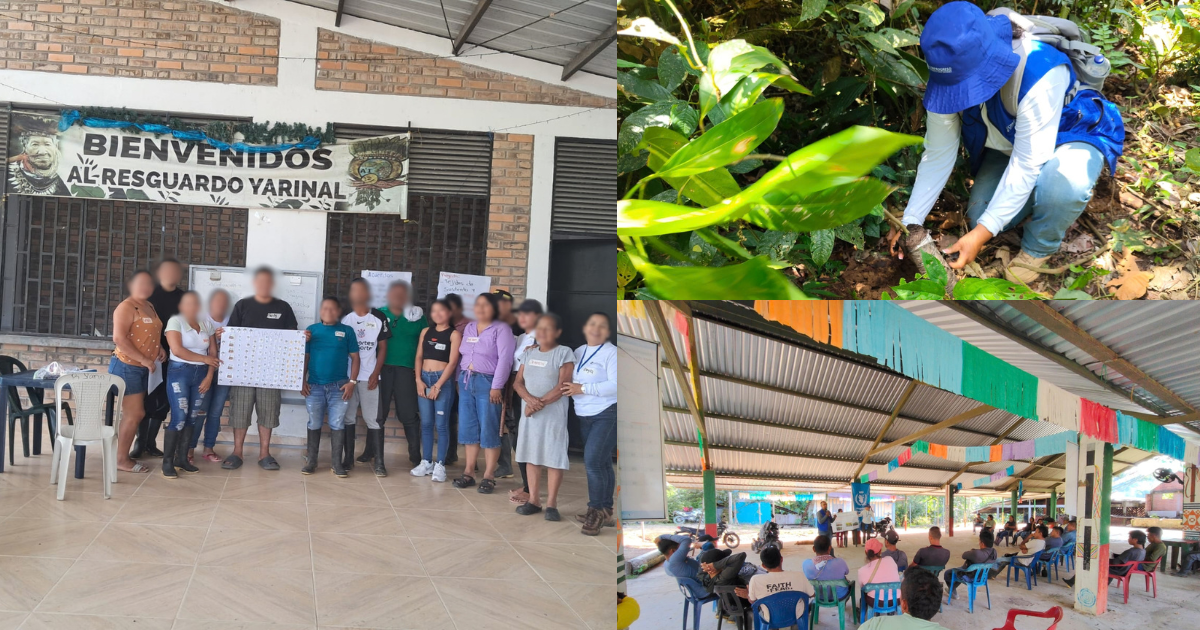 PMA SBN Soluciones basadas e la naturaleza.